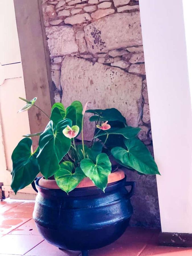 Pousada Colonial Penedo - Alagoas 외부 사진